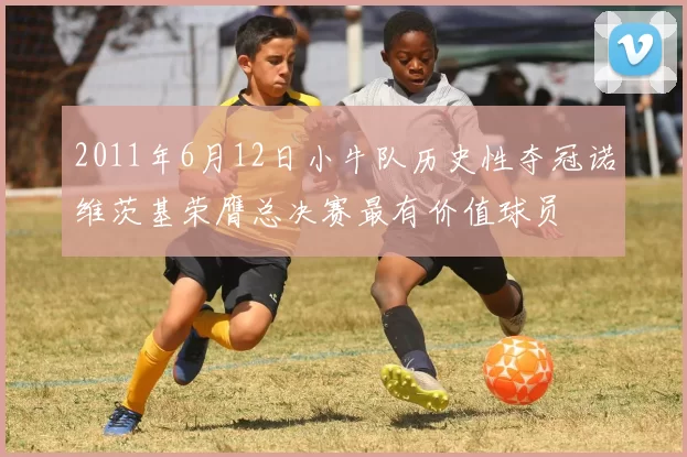 2011年6月12日小牛队历史性夺冠诺维茨基荣膺总决赛最有价值球员